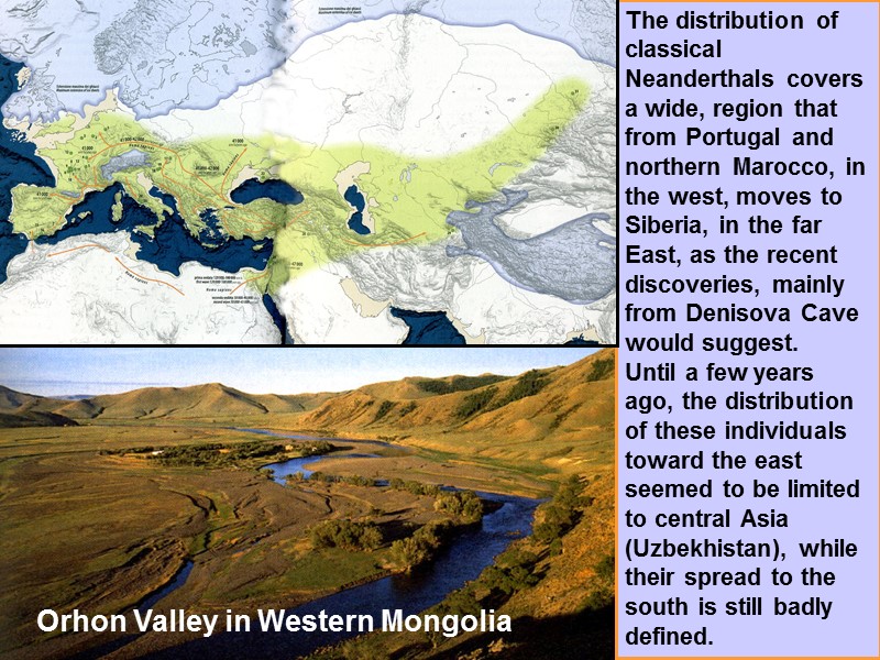 The distribution of classical Neanderthals covers a wide, region that from Portugal and northern